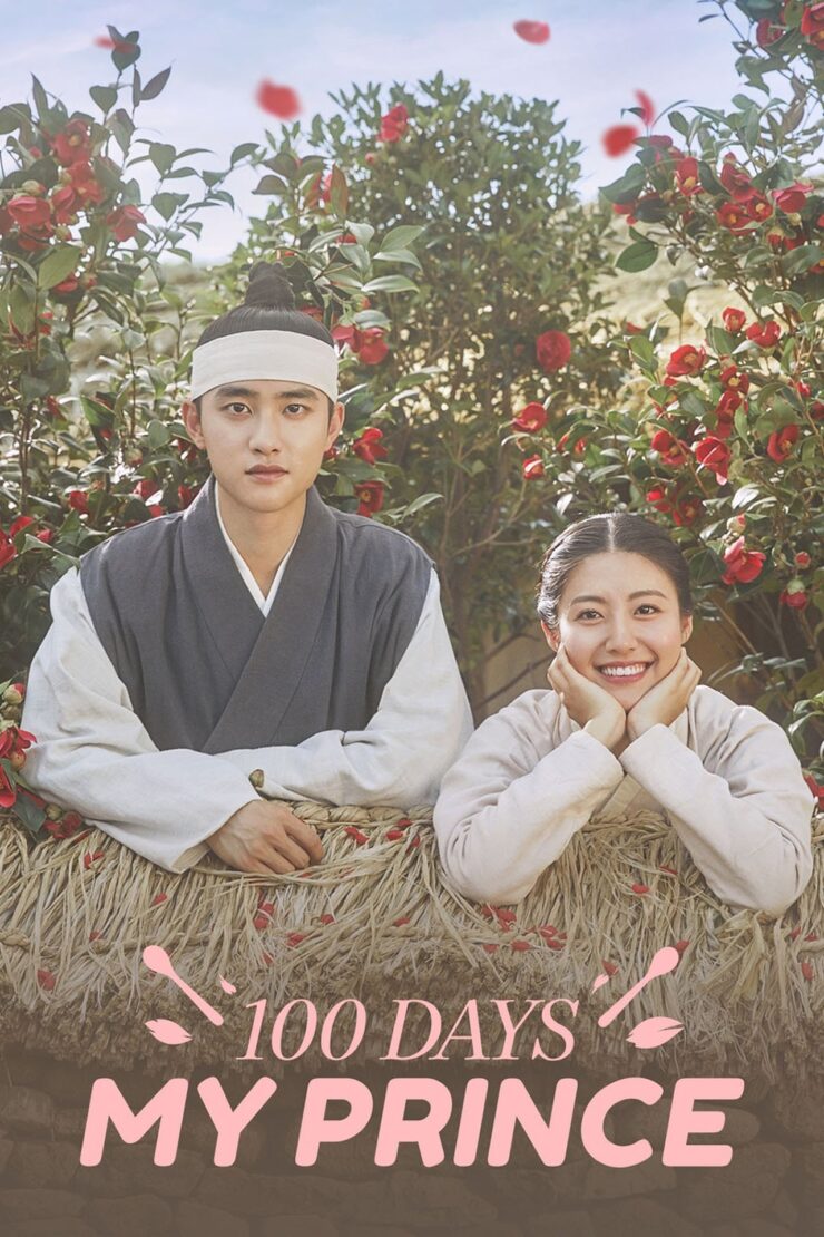 100 Days My Prince Season 1 Korean With Hindi Subtitle