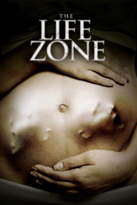 The Life Zone 2011 Dual Audio Hindi-English
