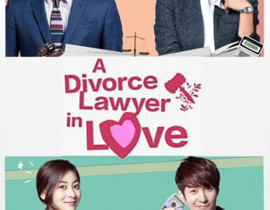 Divorce Lawyer in Love Season 1 Hindi With Subtitle 720p 1080p