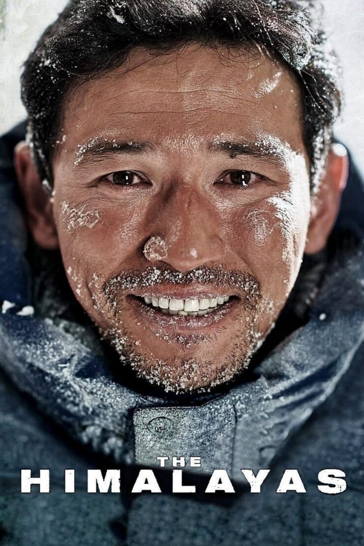 The Himalayas 2015 Dual Audio Hindi-Korean 480p 720p 1080p