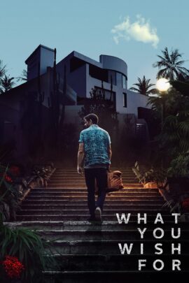 What You Wish For 2023 Dual Audio Hindi-English 480p 720p 1080p
