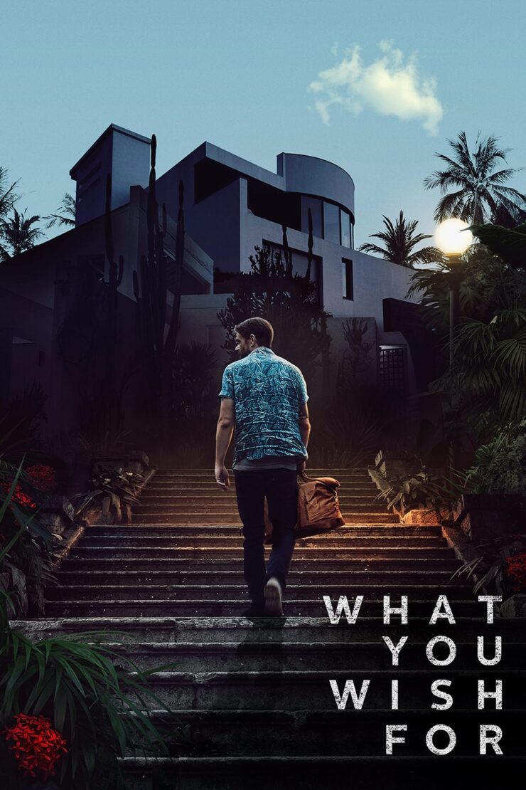 What You Wish For 2023 Dual Audio Hindi-English 480p 720p 1080p