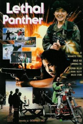 Lethal Panther 1990 Multi Audio Hindi-English-Chinese 480p 720p 1080p