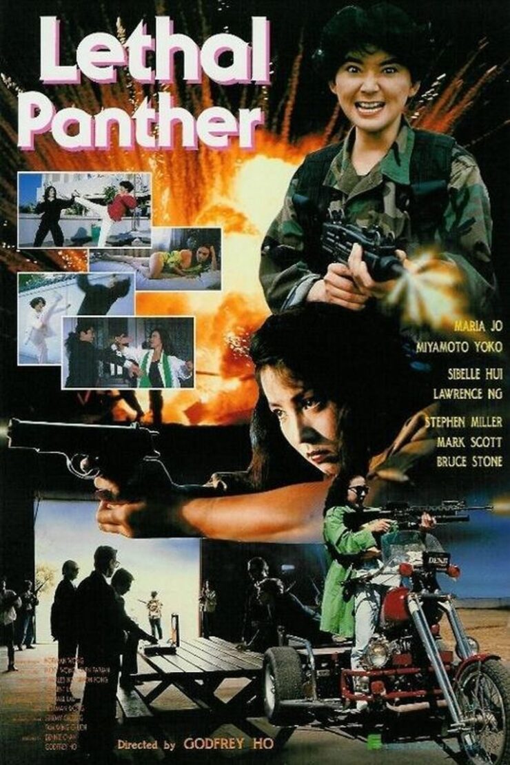 Lethal Panther 1990 Multi Audio Hindi-English-Chinese 480p 720p 1080p