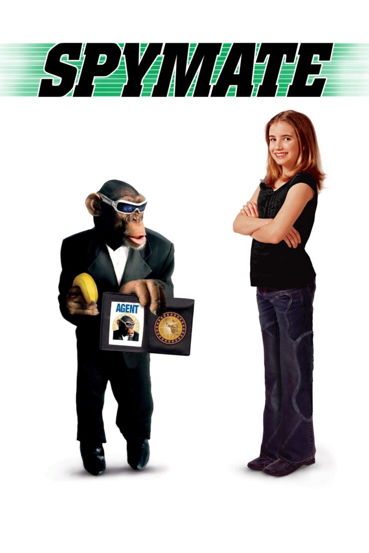 Spymate 2003 Dual Audio Hindi-English 480p 720p 1080p