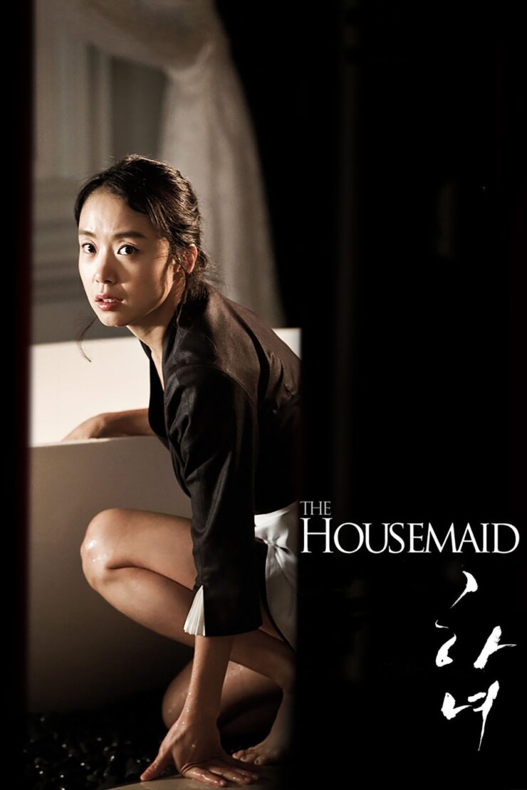 The Housemaid 2010 Dual Audio Hindi-Korean 480p 720p 1080p