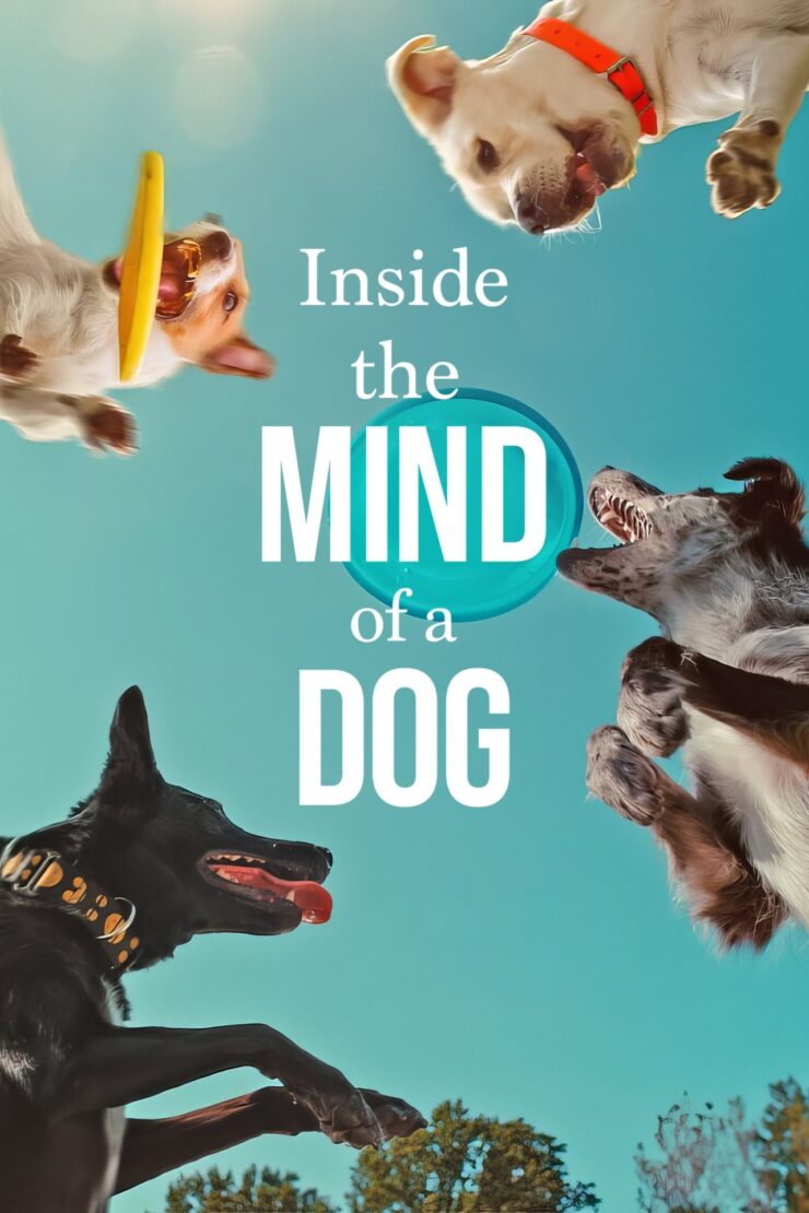 Inside the Mind of a Dog 2024 Dual Audio Hindi-English 480p 720p 1080p