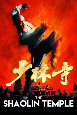 Shaolin Temple 1982 Dual Audio Hindi-Chinese 480p 720p 1080p